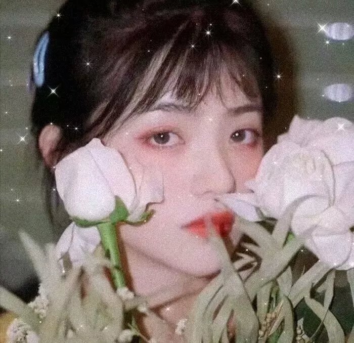 猫王1979